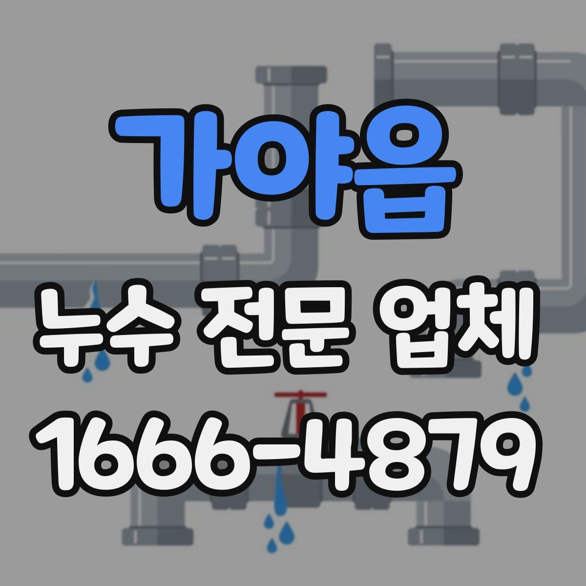 가야읍 누수 전문 업체