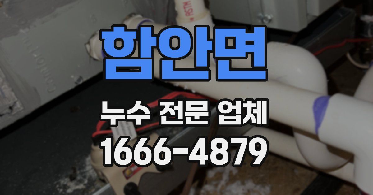함안면 누수 전문 업체