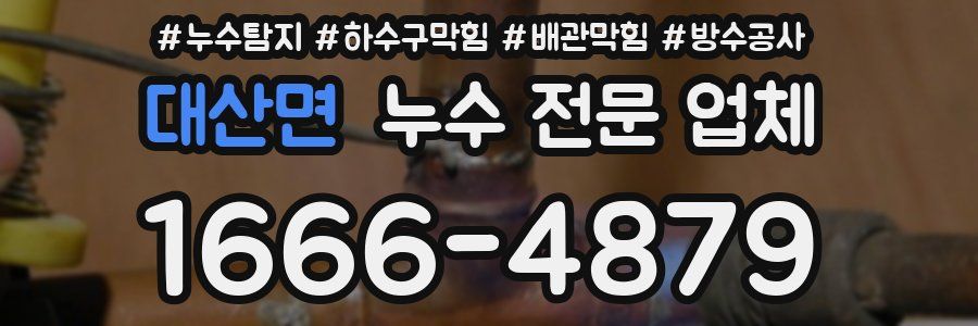 대산면 누수 전문 업체