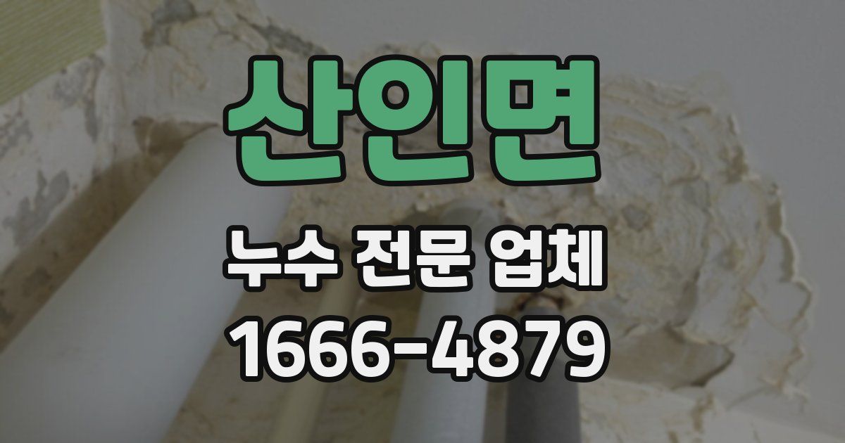 산인면 누수 전문 업체