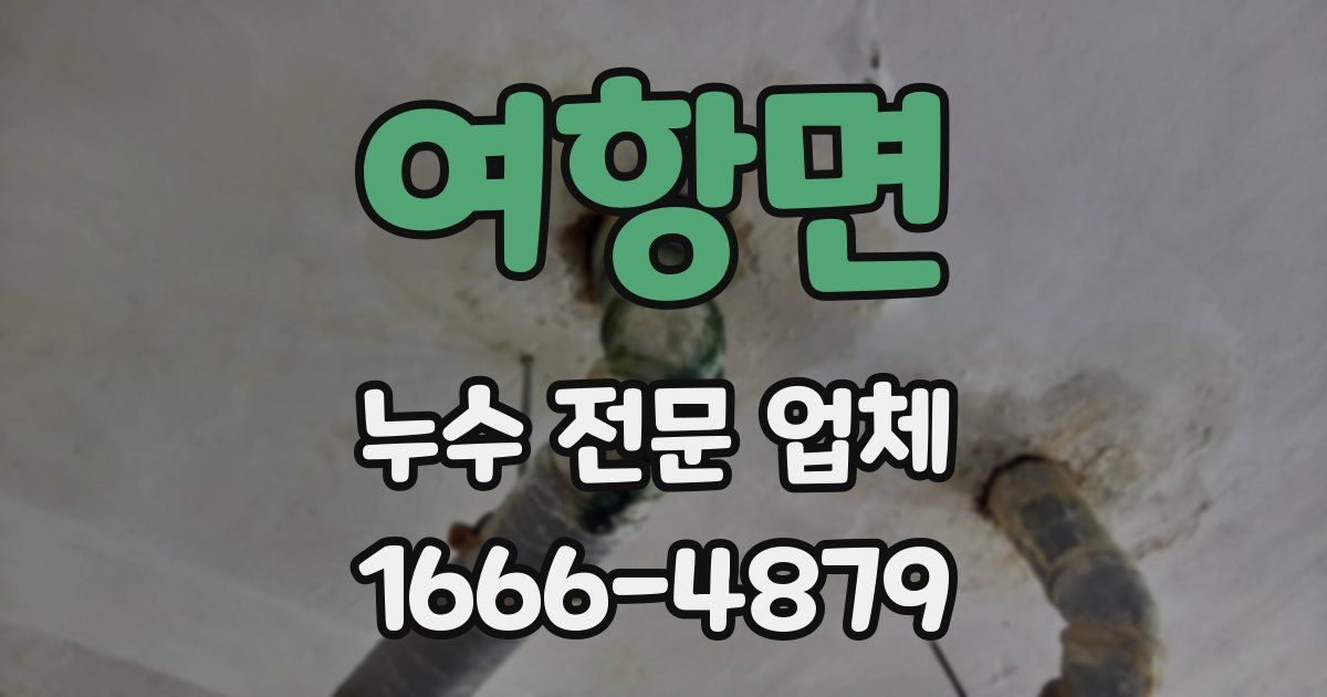 여항면 누수 전문 업체