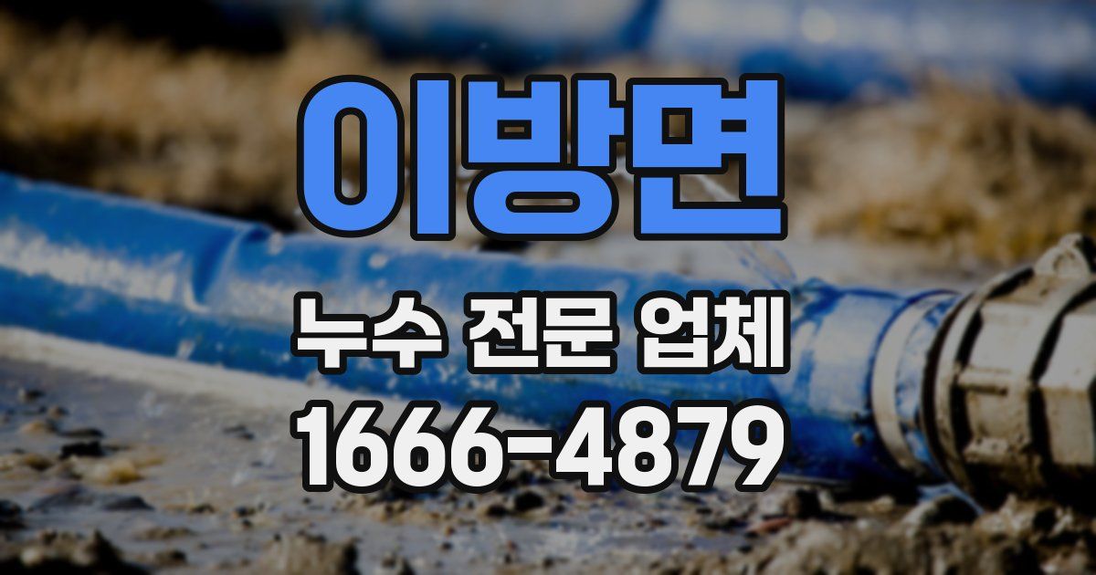 이방면 누수 전문 업체