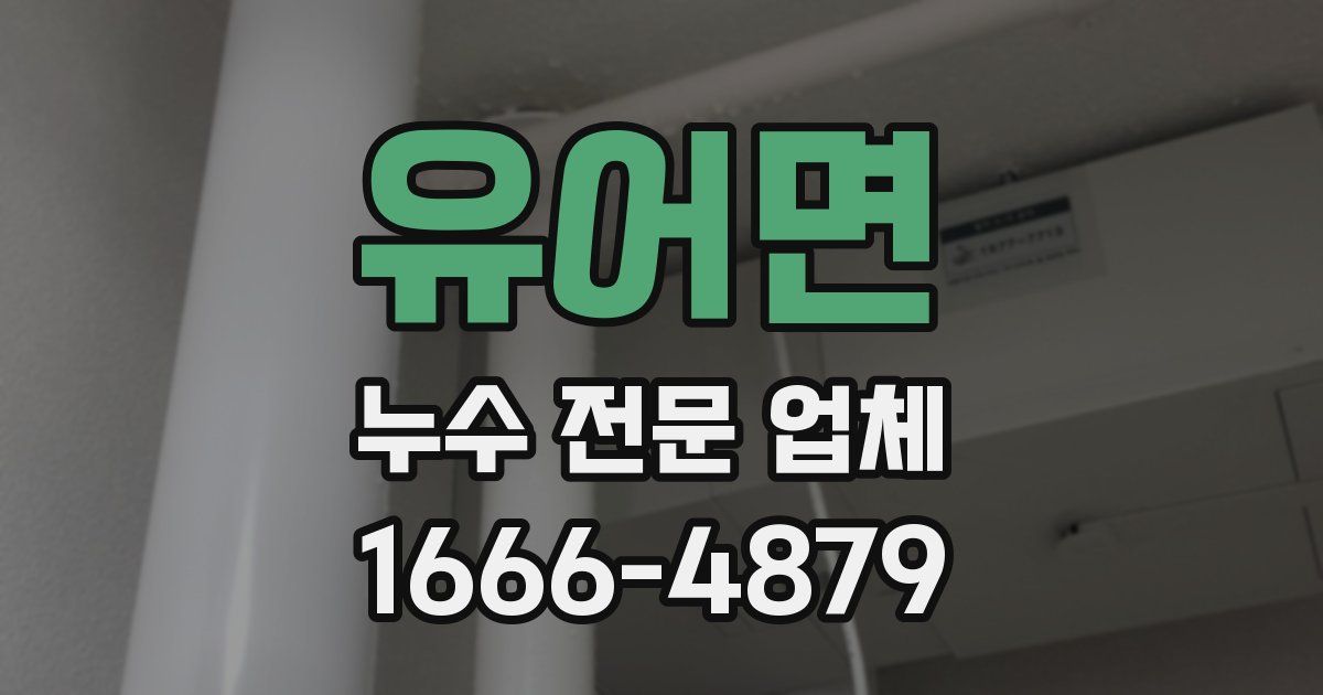 유어면 누수 전문 업체