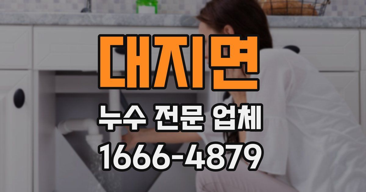 대지면 누수 전문 업체