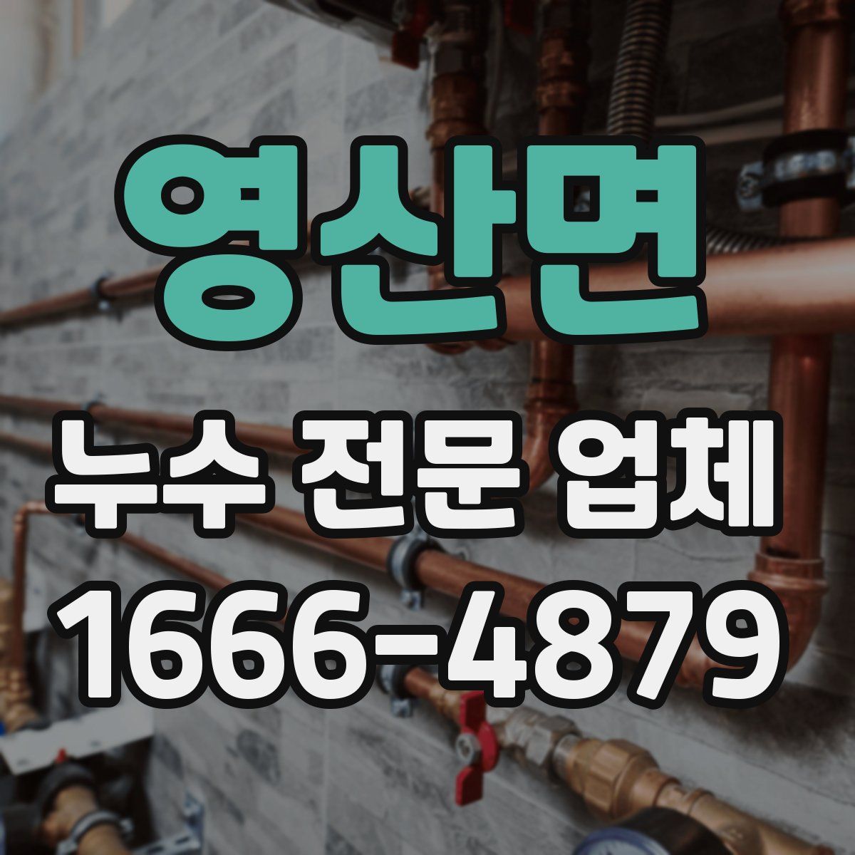 영산면 누수 전문 업체