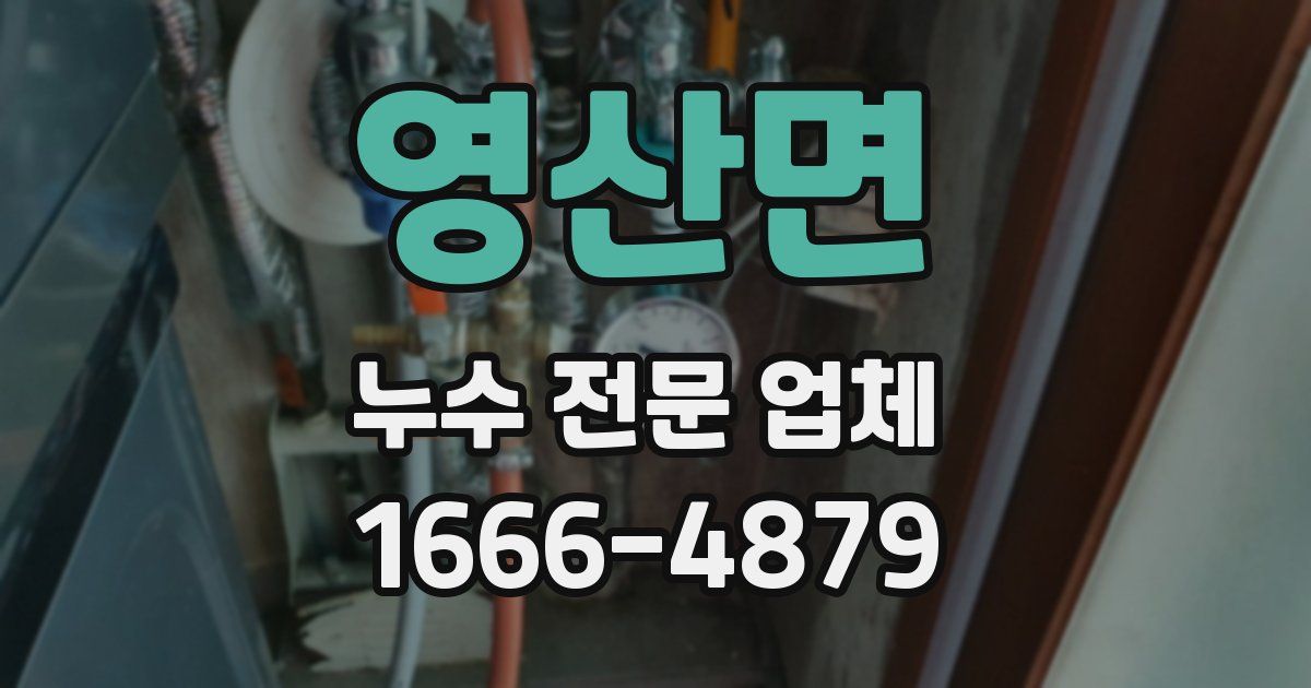 영산면 누수 전문 업체