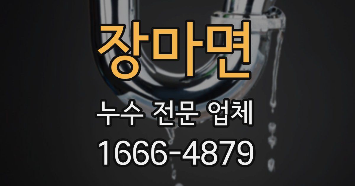 장마면 누수 전문 업체