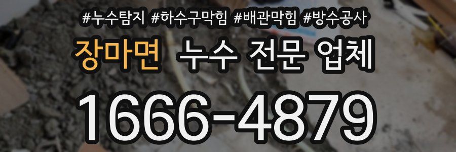 장마면 누수 전문 업체
