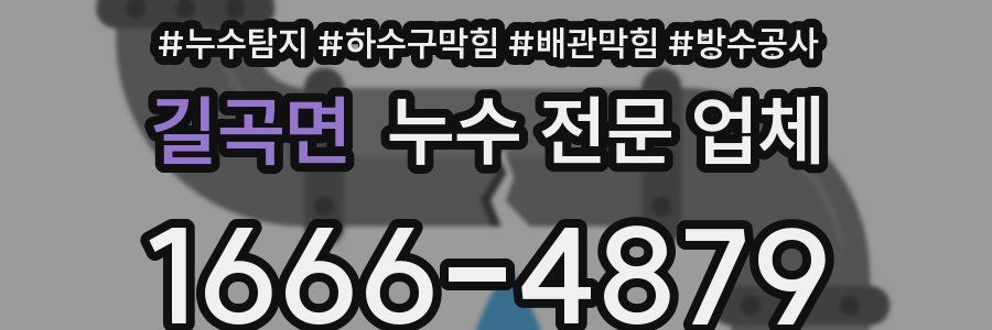 길곡면 누수 전문 업체