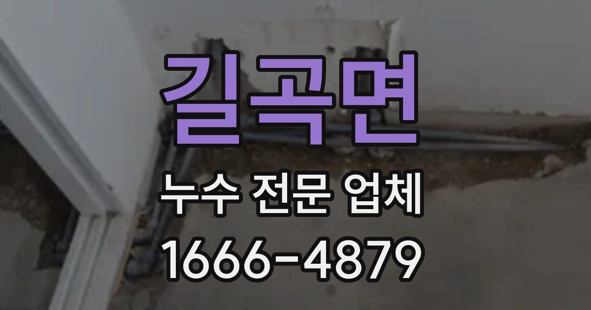 길곡면 누수 전문 업체