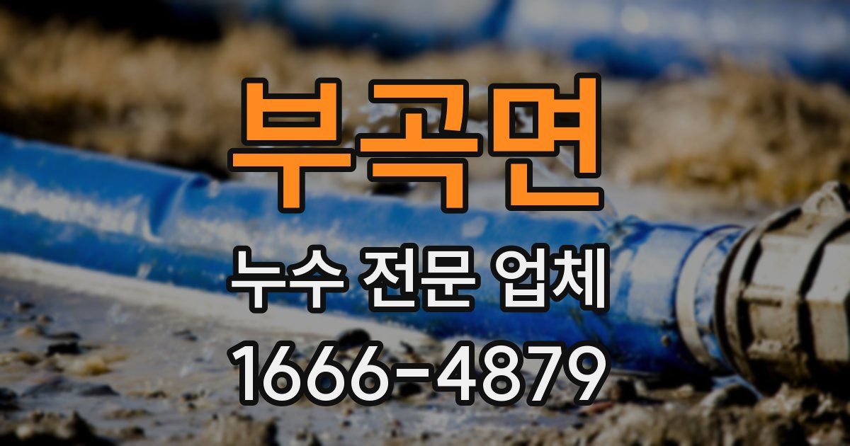 부곡면 누수 전문 업체
