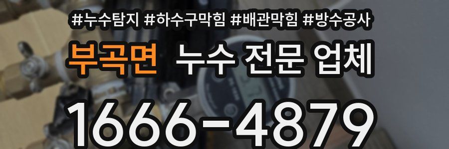 부곡면 누수 전문 업체