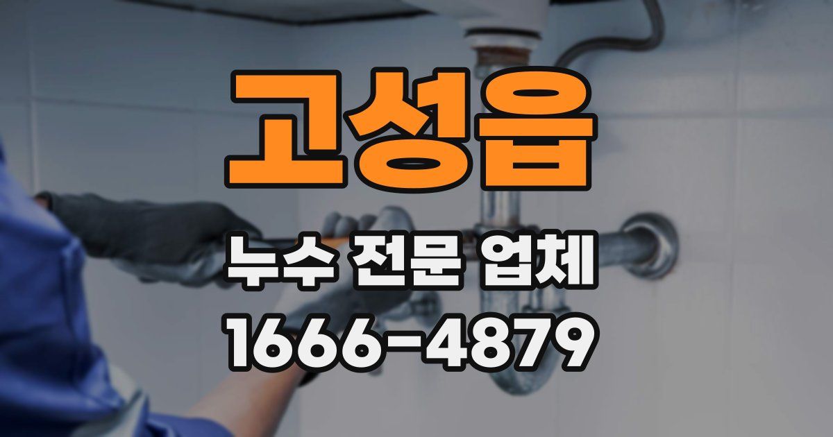고성읍 누수 전문 업체