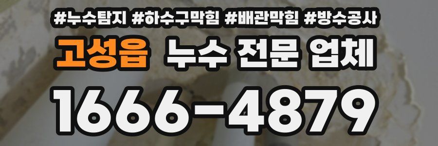 고성읍 누수 전문 업체