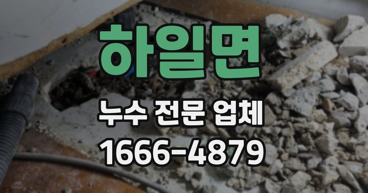 하일면 누수 전문 업체