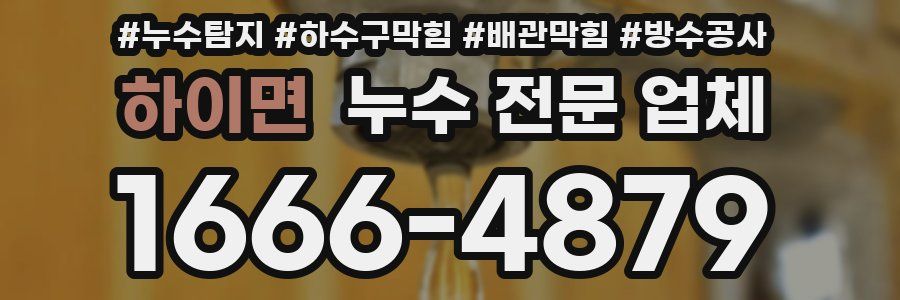 하이면 누수 전문 업체