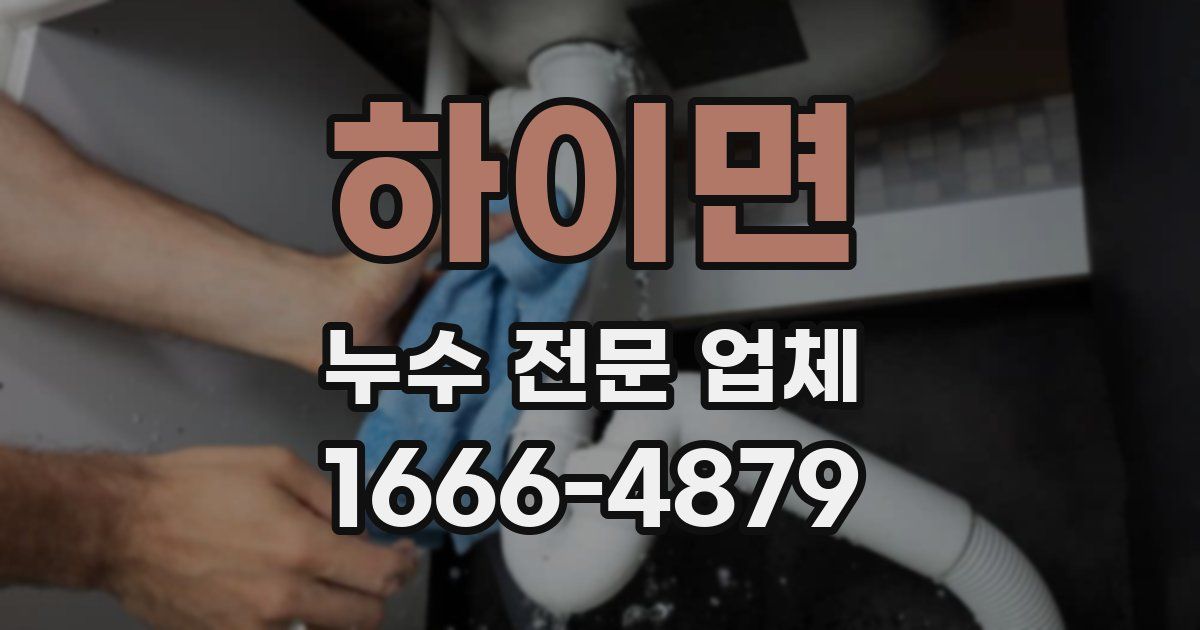 하이면 누수 전문 업체