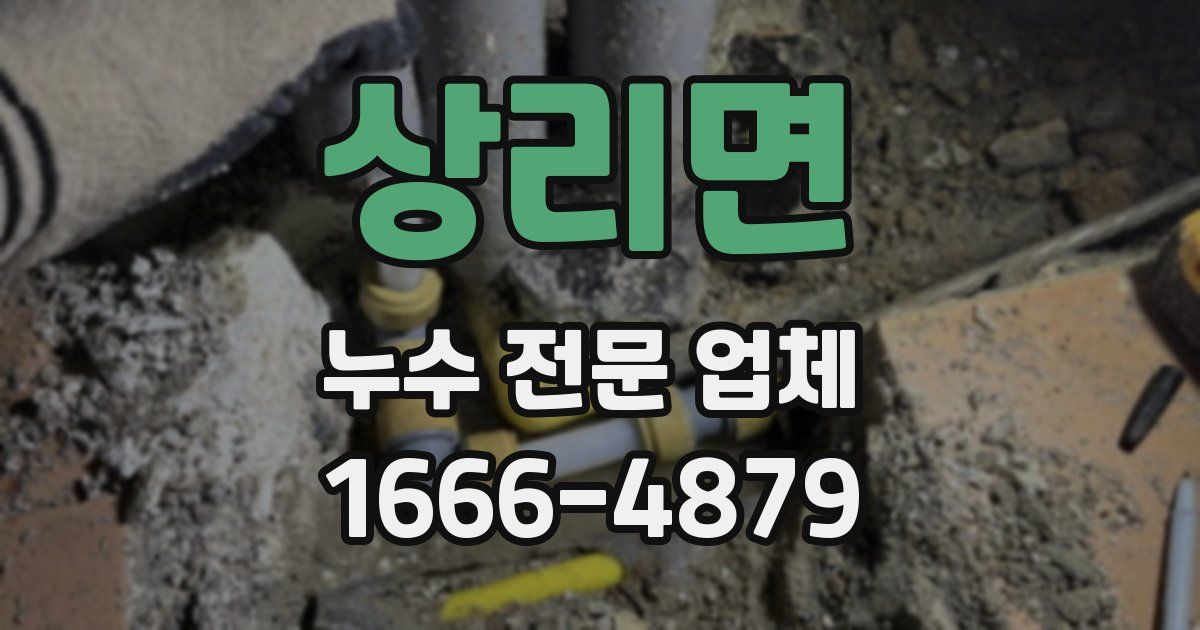 상리면 누수 전문 업체