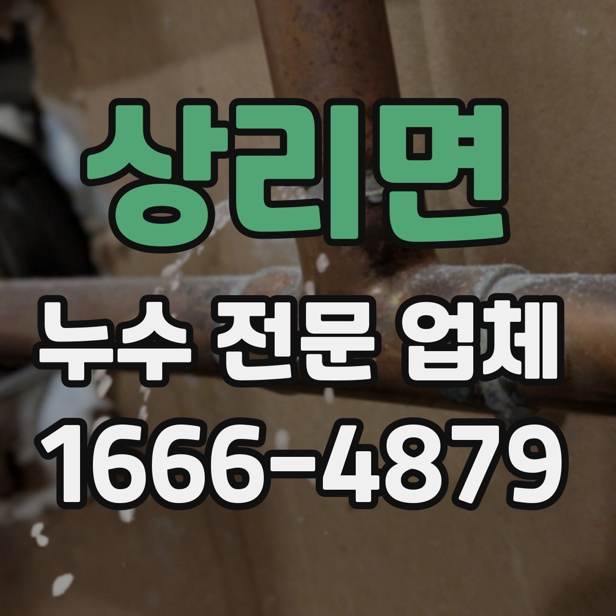 상리면 누수 전문 업체