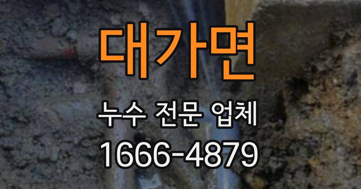 대가면 누수 전문 업체
