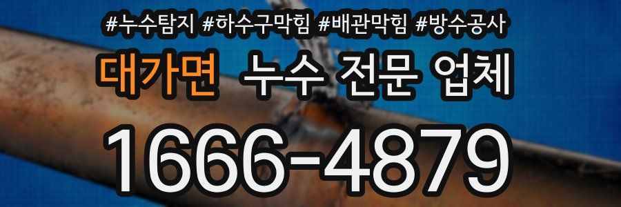 대가면 누수 전문 업체