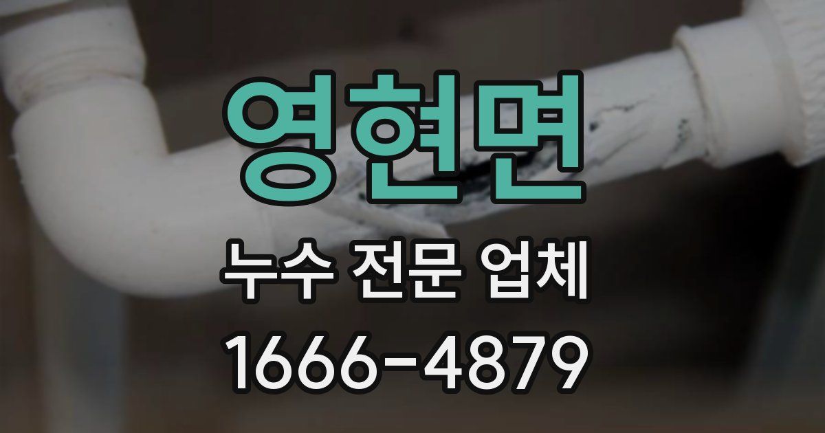 영현면 누수 전문 업체