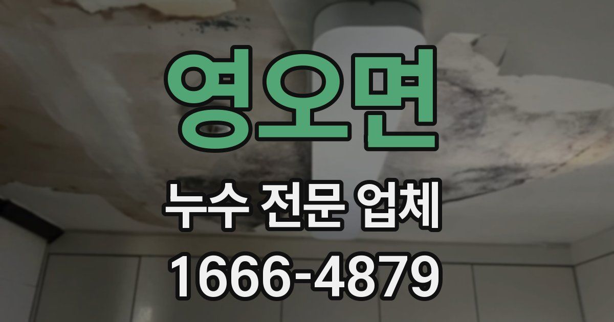 영오면 누수 전문 업체