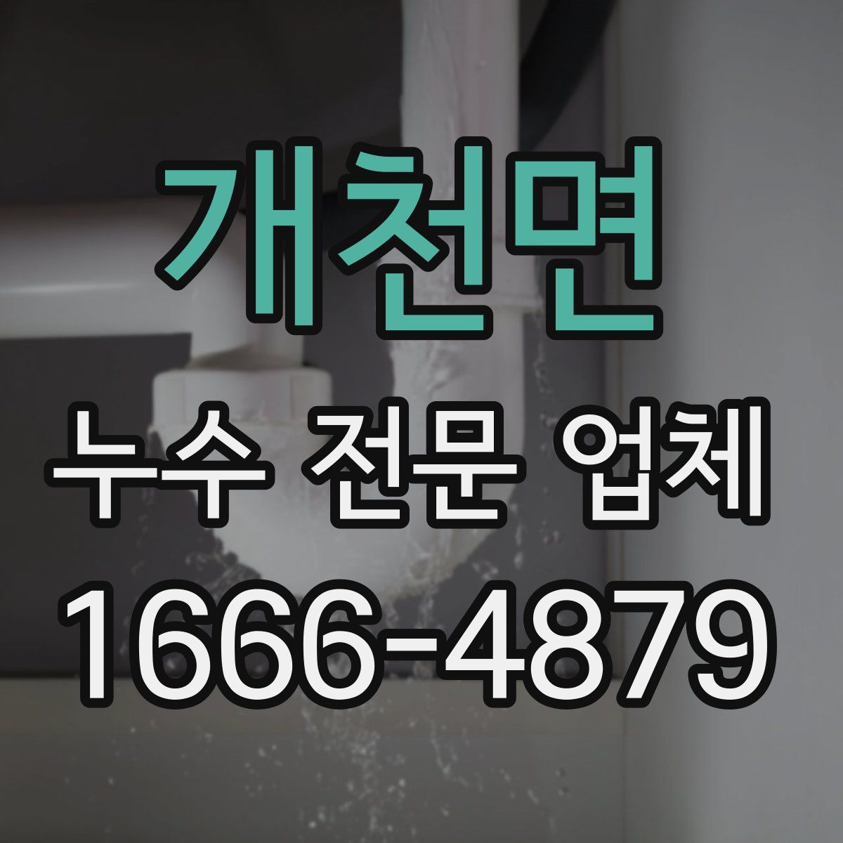 개천면 누수 전문 업체