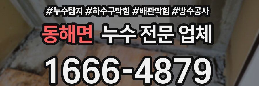 동해면 누수 전문 업체