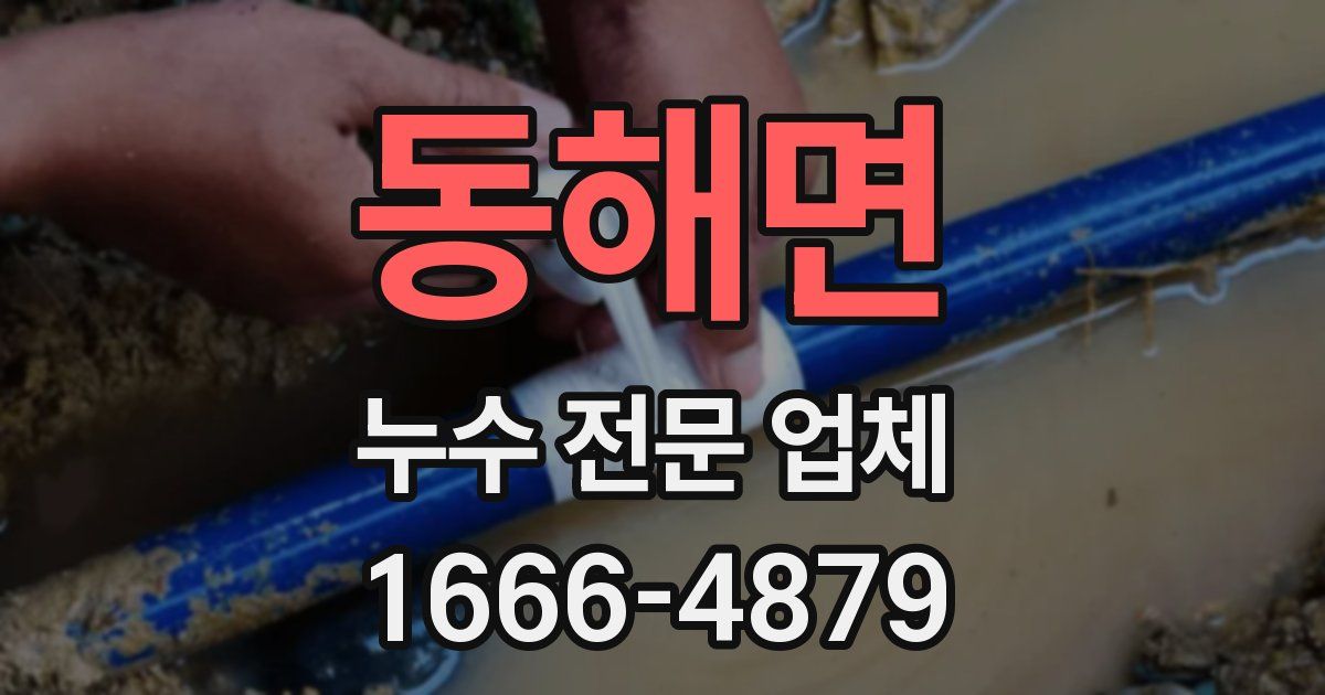 동해면 누수 전문 업체