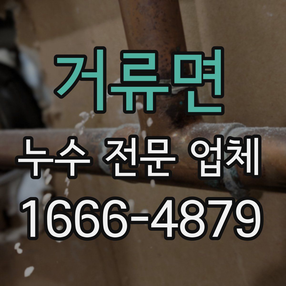 거류면 누수 전문 업체