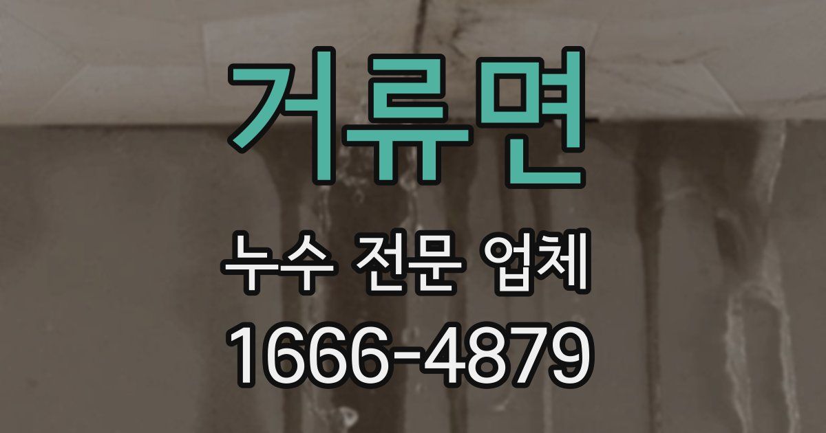거류면 누수 전문 업체