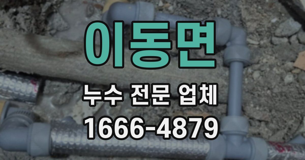 이동면 누수 전문 업체