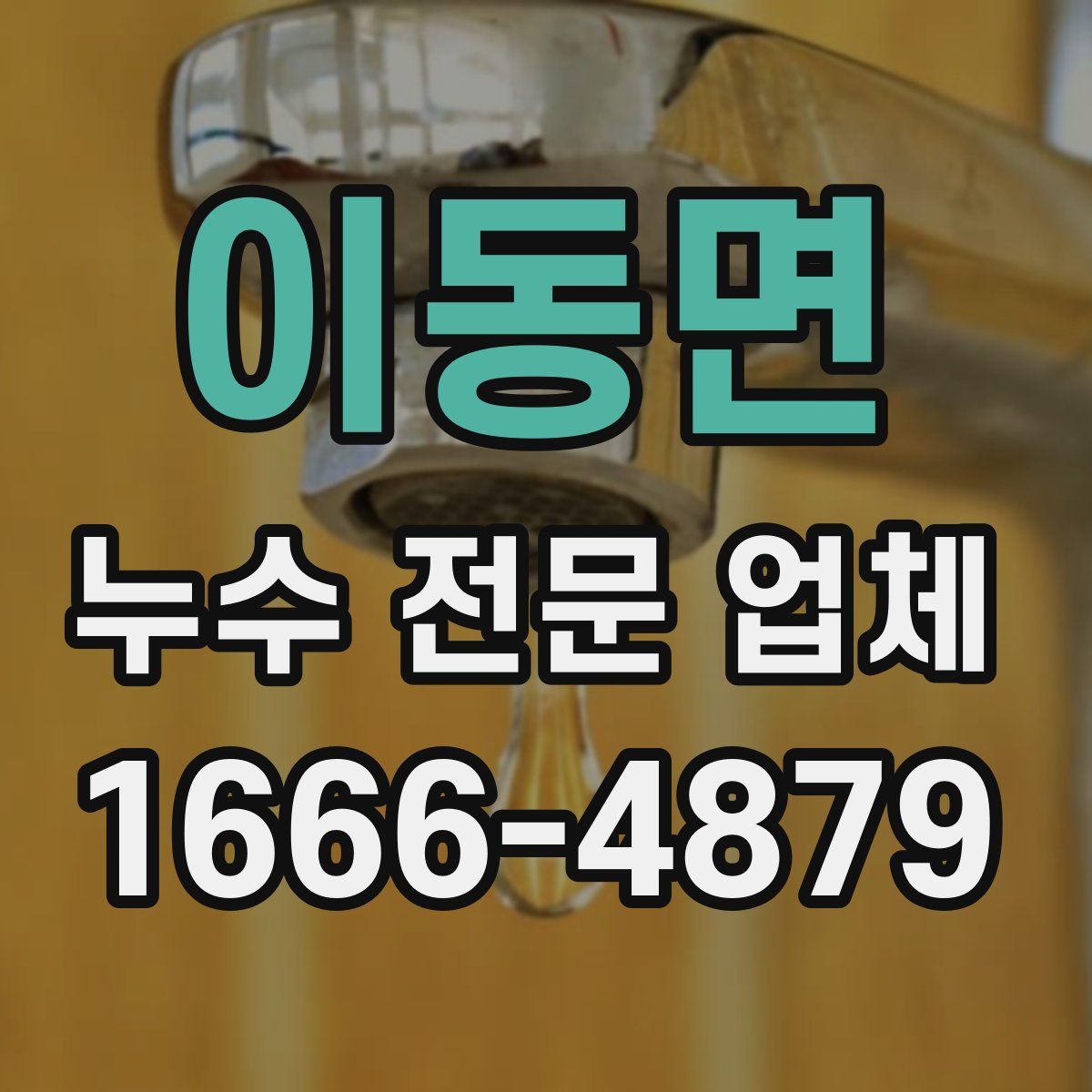 이동면 누수 전문 업체