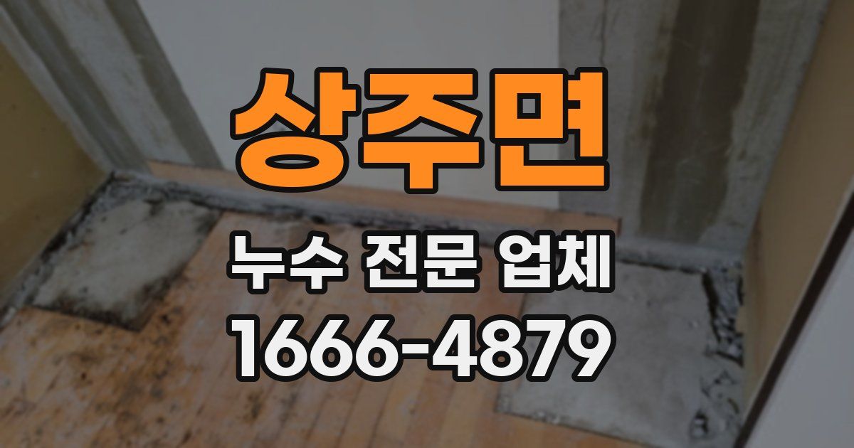 상주면 누수 전문 업체
