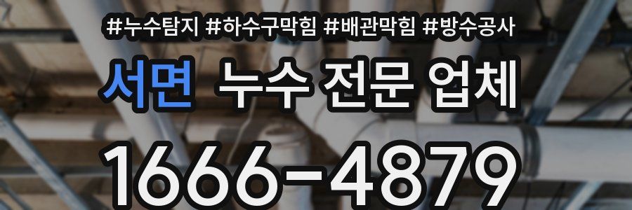 서면 누수 전문 업체
