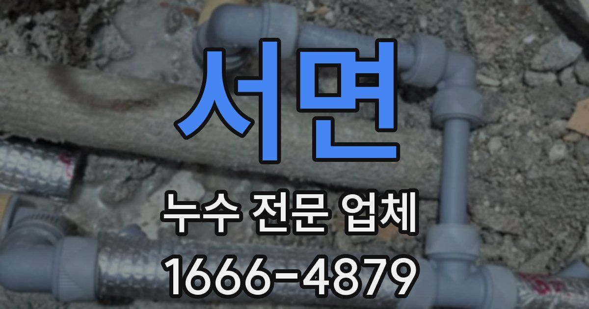서면 누수 전문 업체