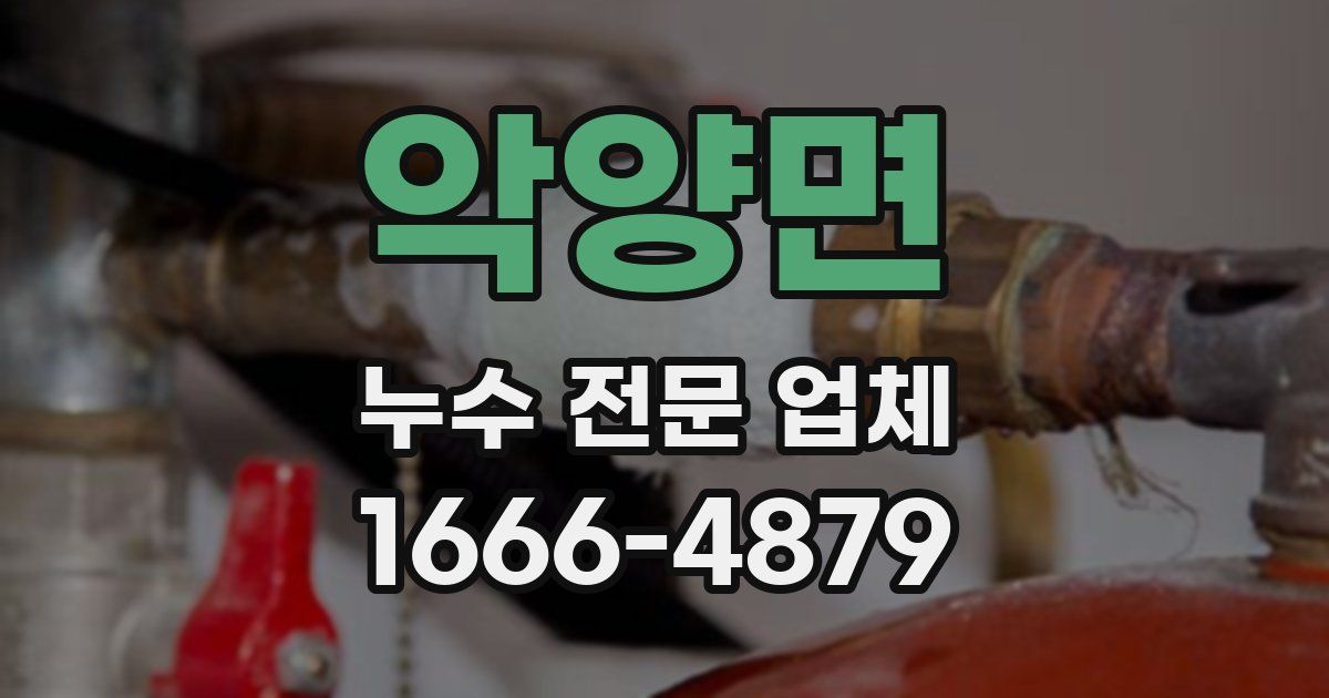 악양면 누수 전문 업체
