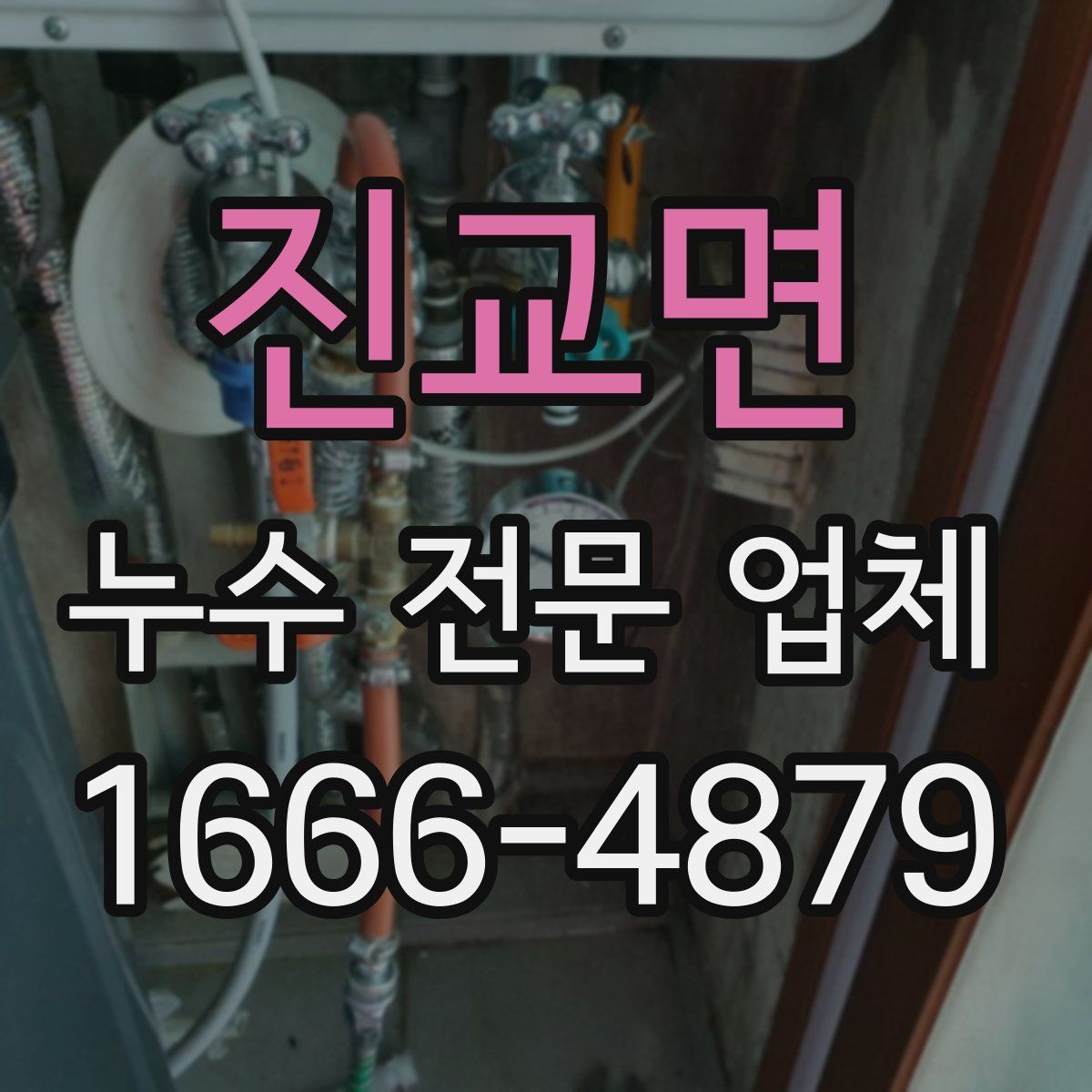 진교면 누수 전문 업체