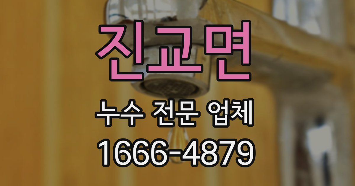 진교면 누수 전문 업체