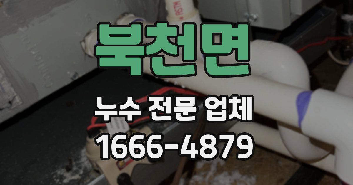 북천면 누수 전문 업체