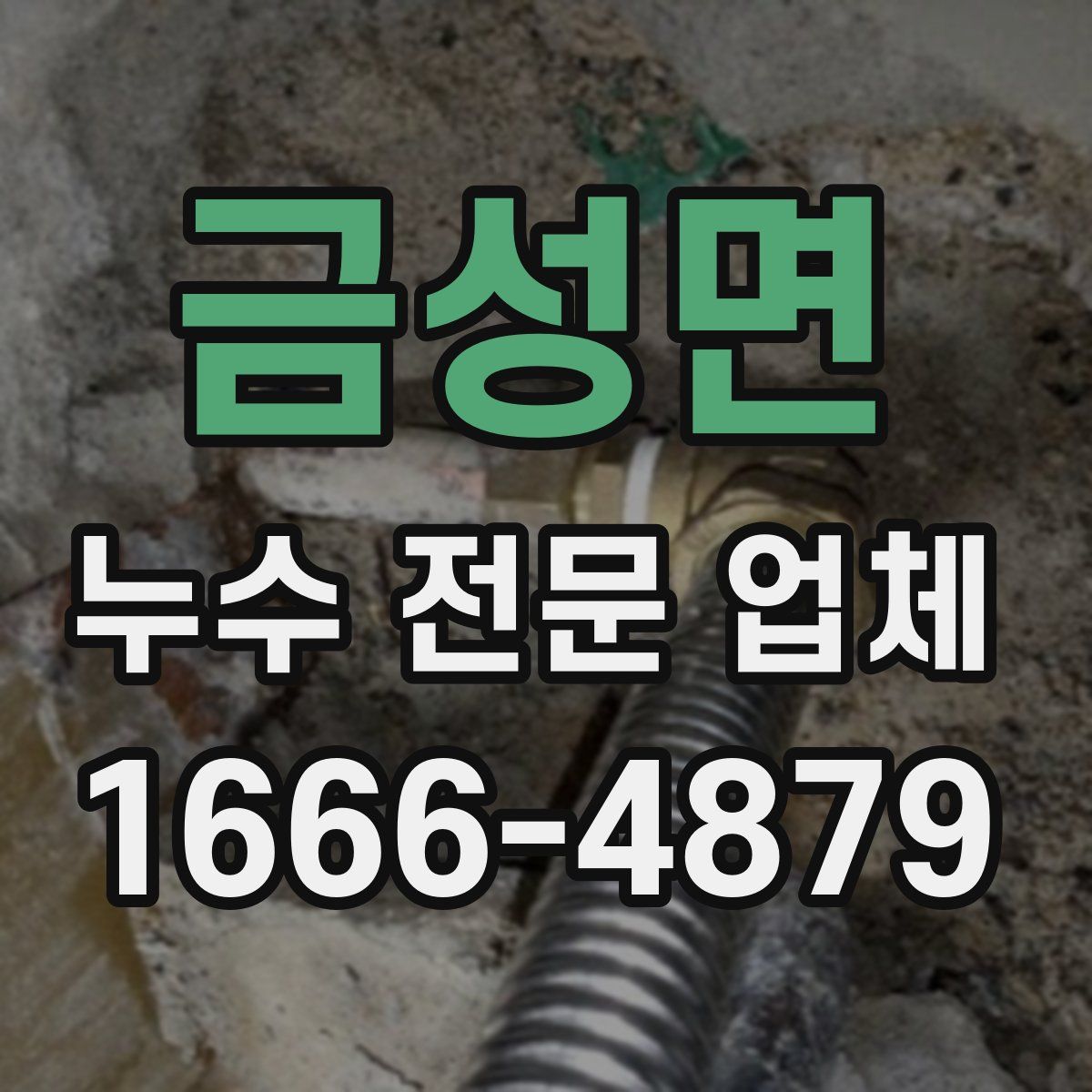 금성면 누수 전문 업체