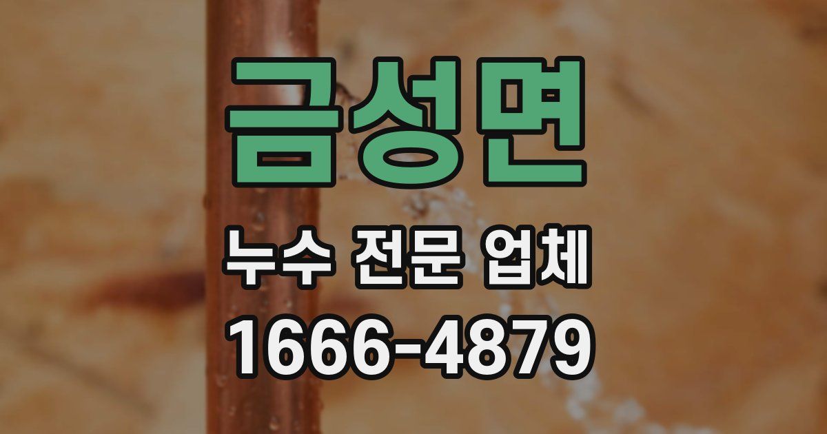 금성면 누수 전문 업체