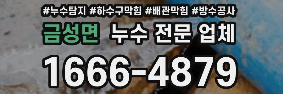 금성면 누수 전문 업체