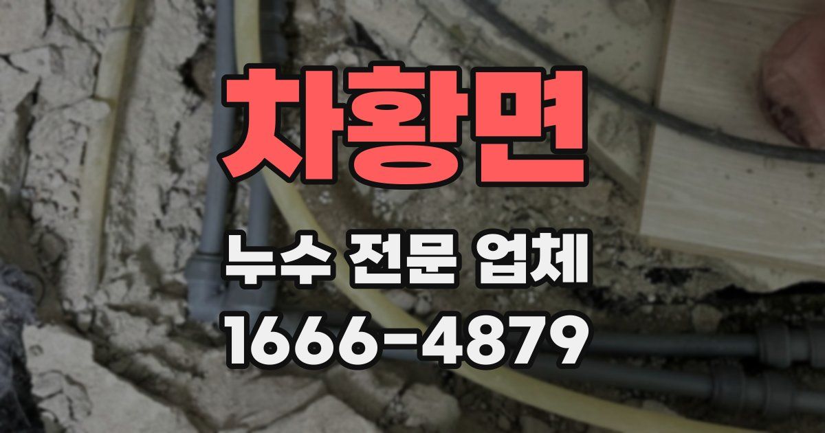 차황면 누수 전문 업체