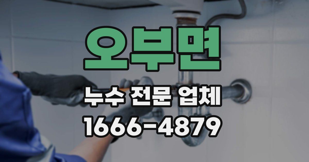 오부면 누수 전문 업체
