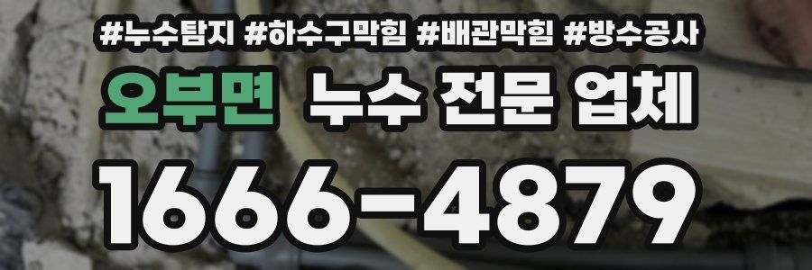 오부면 누수 전문 업체