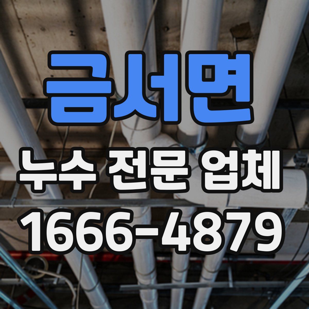 금서면 누수 전문 업체