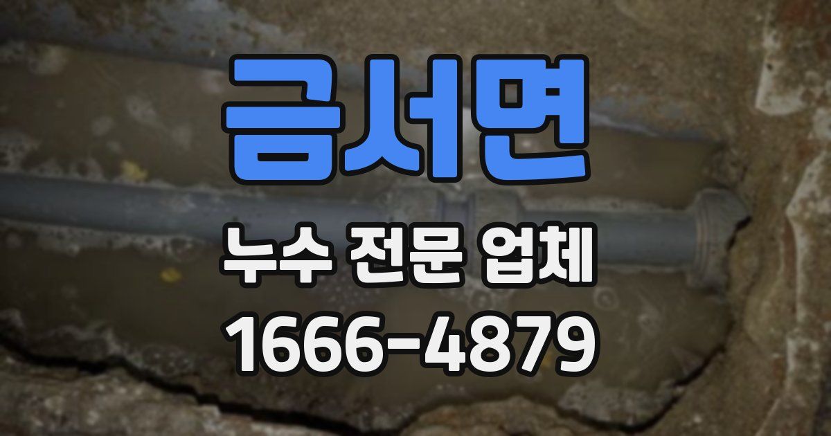 금서면 누수 전문 업체