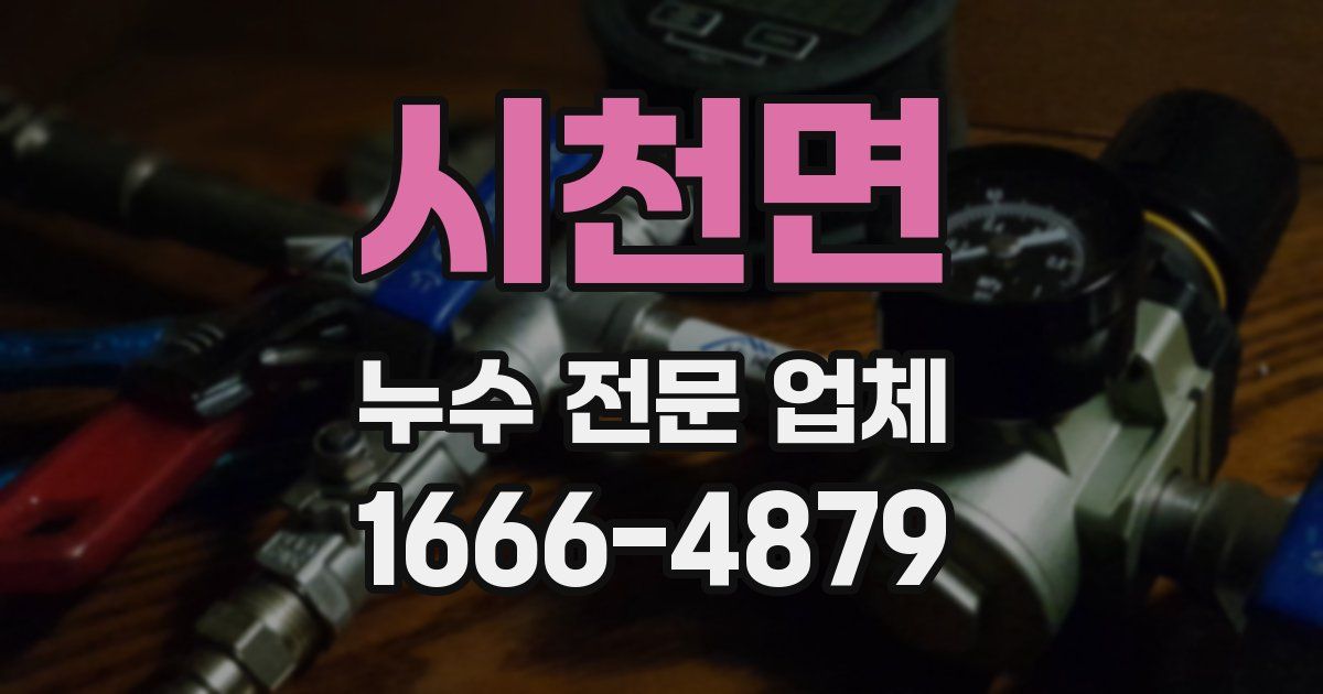 시천면 누수 전문 업체